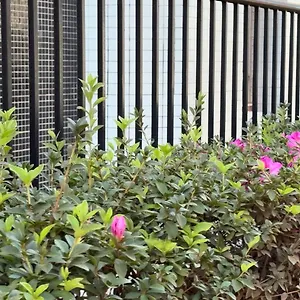  Apartamento Apartamento - Park Sul Brasil